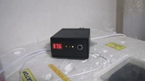 Терморегулятор для инкубатора   обзор