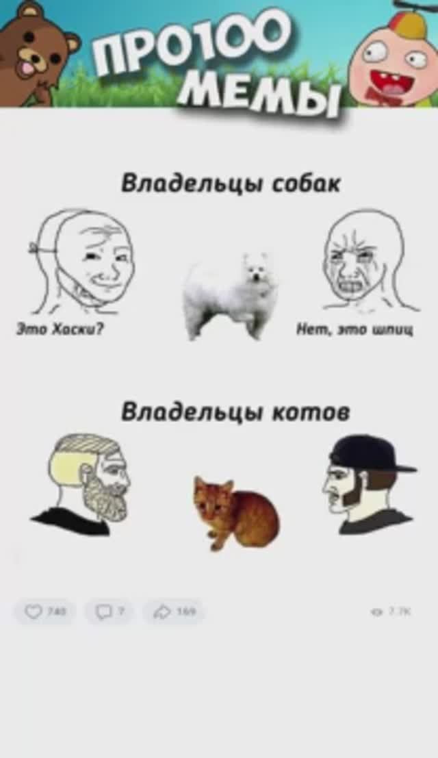 Мемы и котики с озвучкой #мемыскотами #мемыдня #мемы #котики #мемытут