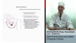 Большаков Игорь Николаевич Лекция Топографическая анатомия и оперативная хирургия грудной стенки