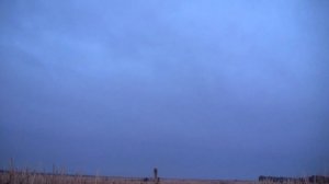 Лучшая охота на гуся в моей жизни | Весна 2022