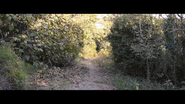 ЗАБРОШЕННЫЙ лагерь Ласточка в Сочи