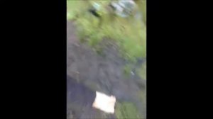 Конный поход. Екатеринбург. Походы по Уралу. Конный туризм.