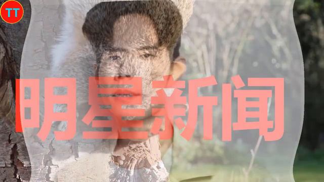 知情人爆料肖战新剧路透少原因，剧组私下严格控制，不靠这“火” смотреть онлайн