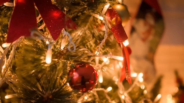 Reddit's Dumbest Scammers смотреть онлайн