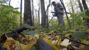 НОЖ И МОНЕТЫ В ЛЕСУ НАШЁЛ! Коп с мд Gold Hunter Frogman B75