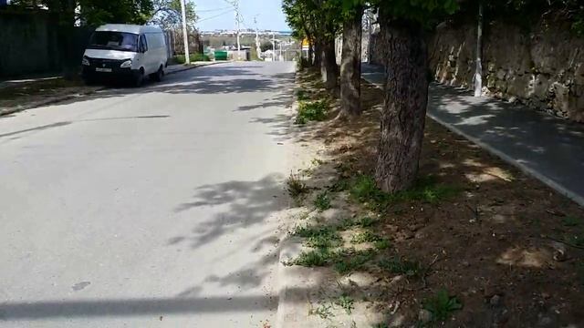 Каштаны которые поборолись за жизнь) АР Крым г.Севастополь 2021г. смотреть онлайн