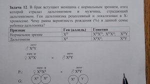 Генетика.  Задачи.  Часть 7. Сцепленное с полом наследование. Моногибридное скрещивание.