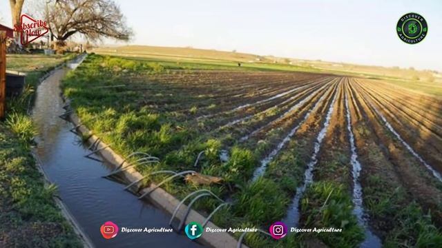 Different Types of irrigation systems in Agriculture | Drip, Gun Sprinkler, Center pivot irrigation смотреть онлайн