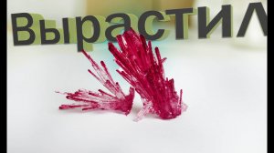 Вырастил Кристалл