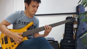 Герой асфальта, кавер на бас гитаре😌 (cover on bass)