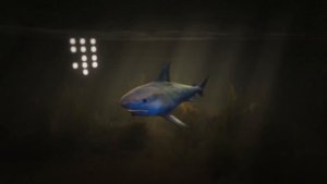 Scary Teacher 3D - Miss'T, and Nick in Shark Pool, House Pranks - Game Animation