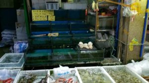 Рынок рыбы и морепродуктов. Гуанчжоу