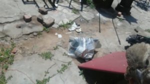 Воробей залетел домой полная версия