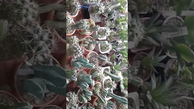 Для покупателей (часть 1) смотреть онлайн