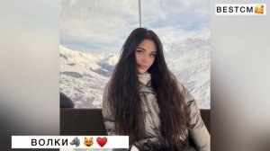 ЧЕЧЕНКА ПЕРЕПЕЛА ЛУЧШЕ ОРИГИНАЛА ПЕСНЯ ВОЛКИ МЫ В НОЧНЫХ ЛЕСАХ🔥😍