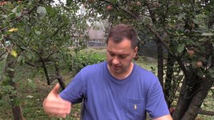 Переход на сыроедение и веганство сегодня!