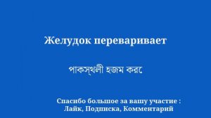 Легко выучить бенгальский язык. Доступно даже новичкам.