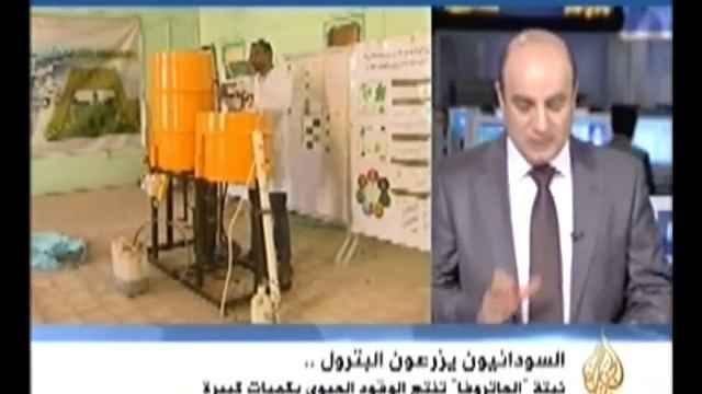 السودان تزرع البترول .. صدق أو لا تصدق Jatropha curcas смотреть онлайн