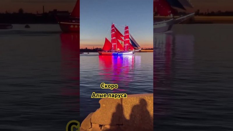29 июня 2024 г.