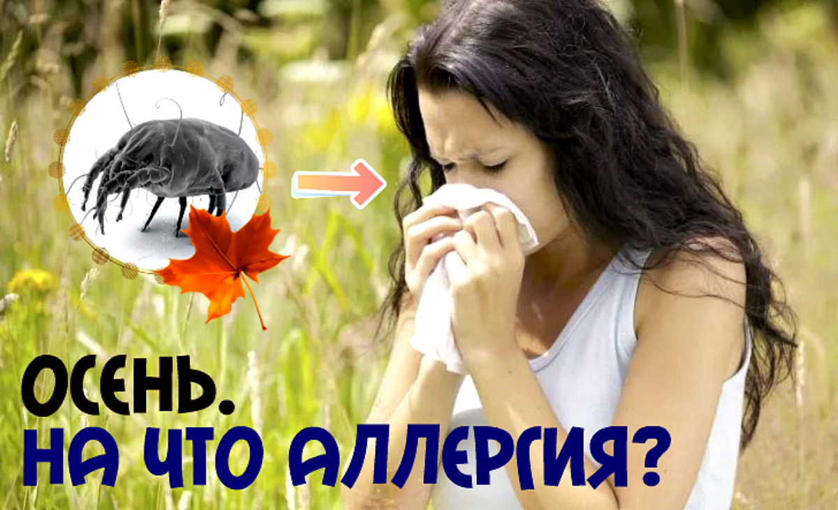 На что может быть аллергия осенью в сентябре Основные аллергены осенью! смотреть онлайн