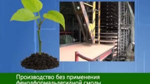 Бобруйский Завод ДВП