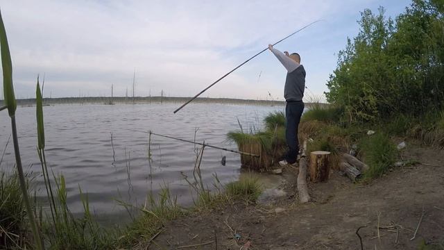 КРУПНЫЙ КАРАСЬ РВЁТ ПОВОДКИ!! Ловим,крупного капрася,на озере,в Томской области. смотреть онлайн