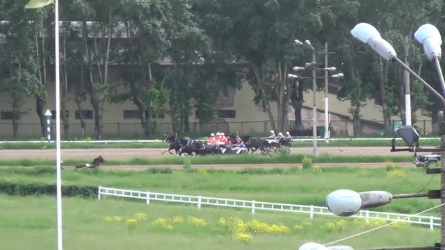 Московский ипподром. Русские тройки. 02.06.13. Заезд 6 смотреть онлайн
