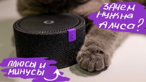 Стоит ли покупать Яндекс Станцию Мини?
Зачем она нужна и что умеет. Обзор.
