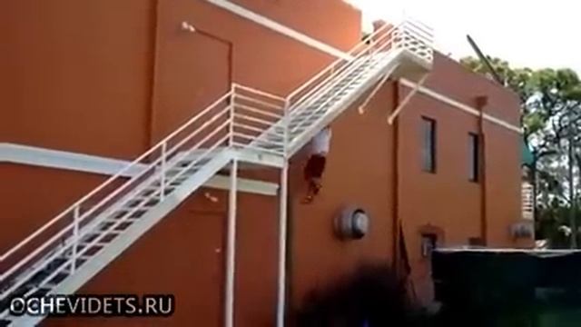 Покусали осы смотреть онлайн