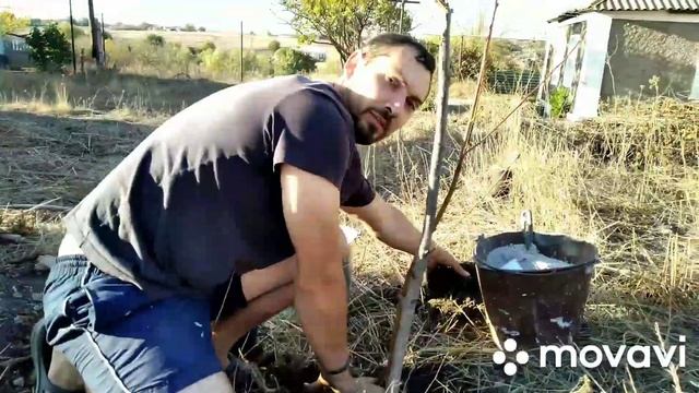 ПОСАДКА ДЕРЕВЬЕВ ОСЕНЬЮ. Делаю дымарь смотреть онлайн