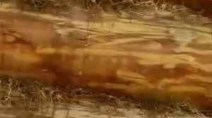 Дома ручной рубки