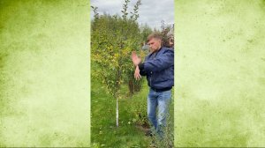 Как правильно подбирать опылители