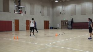 Basketball Training: Another basic demo of the In-Out/Step Back combo move