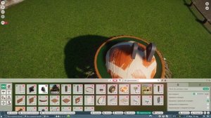 КОАЛА S2 #4 | Planet Zoo