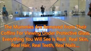 National Museum of Egyptian Civilization THE ROYAL MUMMIES, Cairo, Egypt
