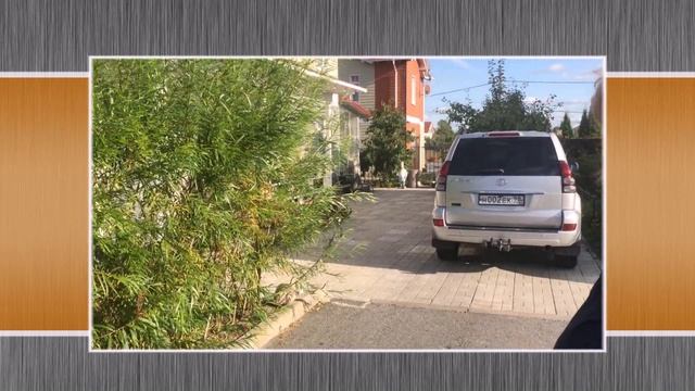 Павива . Отзывы о живой изгороди из ивы . Часть 2 . смотреть онлайн