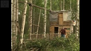 Дома на деревьях. Как не надо строить.