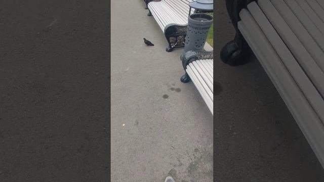 Лучший колледж в Москве