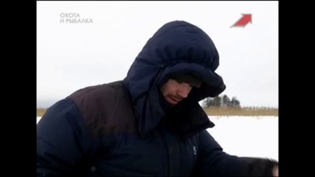 Ловля щуки на желицы, поиск тропы щуки, настройка живца смотреть онлайн