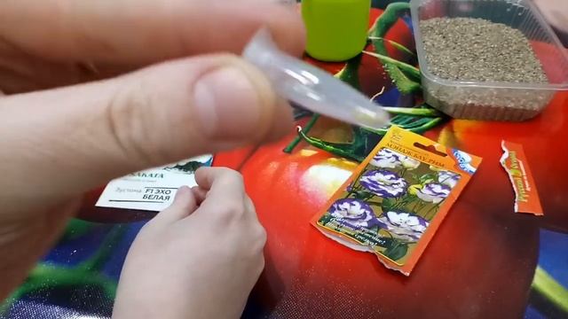 Посев ЭУСТОМЫ в ноябре!!! Мои секреты и ошибки. Сезон 2020 открыт! смотреть онлайн