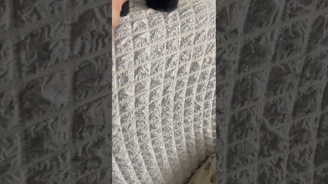 Кумкваты Маргарита Биг и Маргарита Вариегатная смотреть онлайн