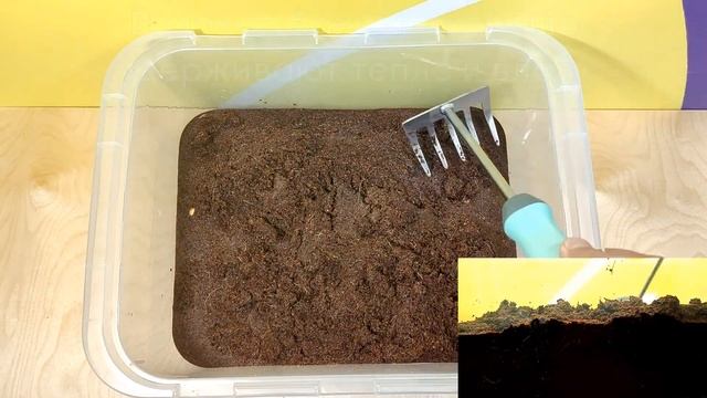 Как правильно разводить кокосовый брикет от Солнце сад? смотреть онлайн