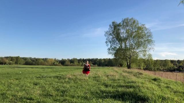 Голдина Соня «Музыкант»