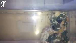 Правильное Аэрация воды в аквариуме.