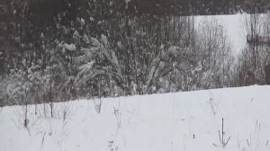 снегоход  толкач из мотобуксировщика 1у