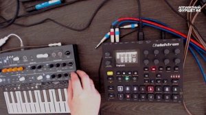 Обзор и первые впечатления Arturia Microfreak