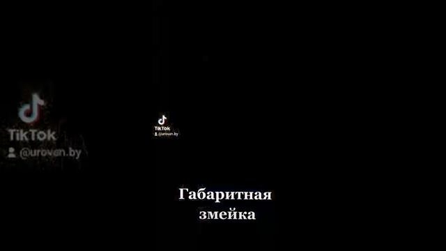 Элементы сдающие на мотоцикле в ГАИ Гомель