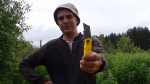 СТРОИМ САРАЙ ДЛЯ ГУСЕЙ И УТОК. 1 ЧАСТЬ