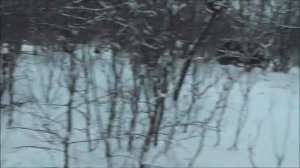 Какая была осень и начало зимы на усадьбе в деревне Закатово.