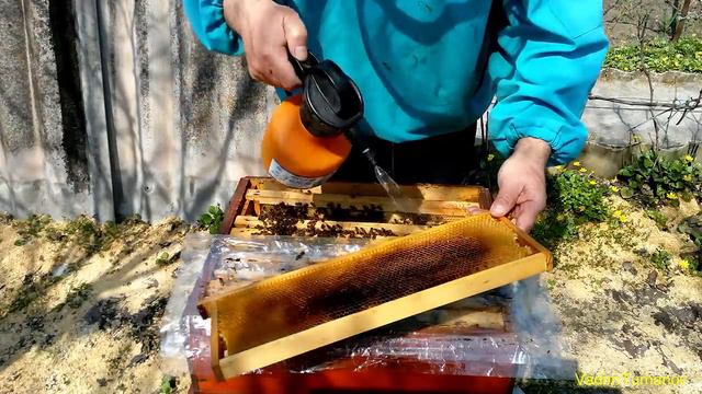 Пчеловодство Весеннее расширение семьи зимовавшей на 145 рамках Spring expansion on the 145th frame